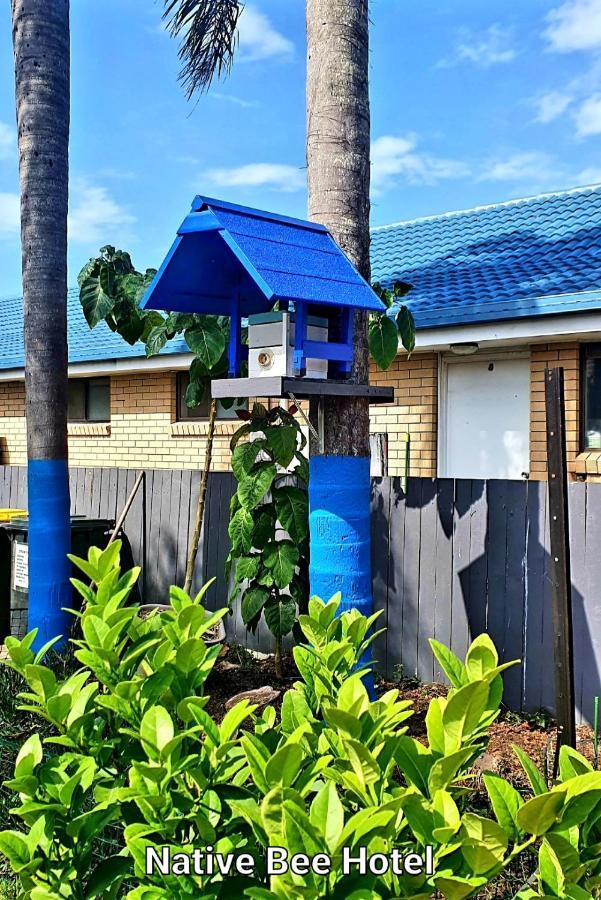 Lights Motel Tweed Heads